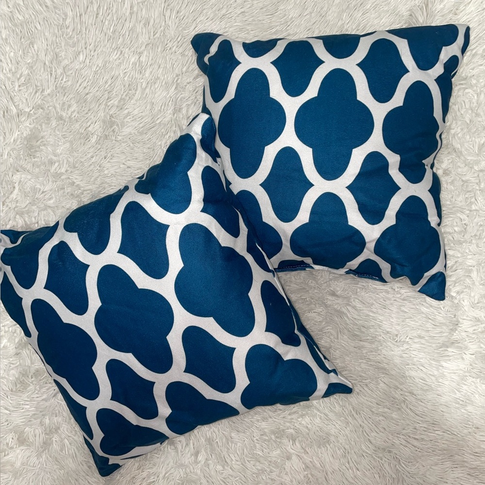 Matching teal and white throw pillows, never used